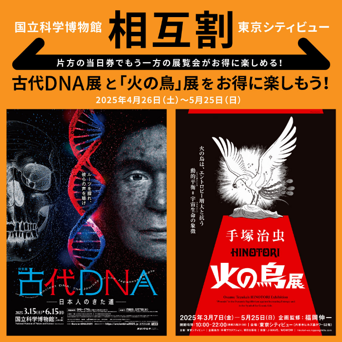 国立科学博物館 相互割 東京シティビュー 片方の当日券でもう一方の展覧会がお得に楽しめる！古代DNA展と「火の鳥」展をお得に楽しもう！